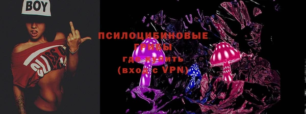 не бодяженный Каменск-Шахтинский